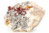 Ruby Red Vanadinite Crystals on Bladed Barite - Morocco #255534-1